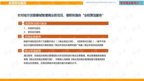 智慧商業街招商運營及物業管理綜合解決方案.ppt